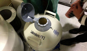 Contenedor del Laboratorio de Embriolog&iacute;a del Servicio de Reproducci&oacute;n Humana del Hospital La Paz.