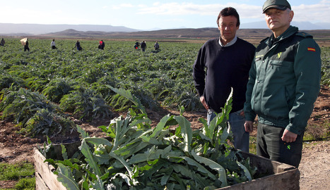 Julio Orta y el capitán de la Guardia Civil de Tudela, Pedro Martín Páez, en el campo de Orta donde  se intentaron llevar 400 docenas de alcachofa. N.G.L.