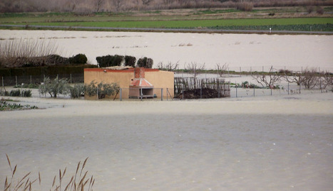 La zona de la Huerta de Ribaforada ha vuelto a inundarse y ayer presentaba este aspecto. CHAVERRI