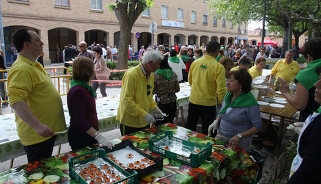 Imagen de las jornadas de la exaltación de la verdura en Tudela el año 2011. DN/ARCHIVO