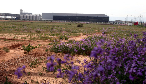 Terreno donde se instalará Uvesa con la planta de Aceites Urzante, al fondo. A la dcha. está la central de infraestructuras comunes. . nuria g. landa