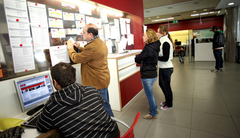 Varias personas consultan información en el tablón de la oficina de empleo de la capital ribera.. nuria g.landa