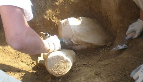 Una de las piezas encontradas en la ciudad romana de Los Bañales.. cedida