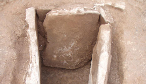 external image _arellano1b_305d5f12.jpg