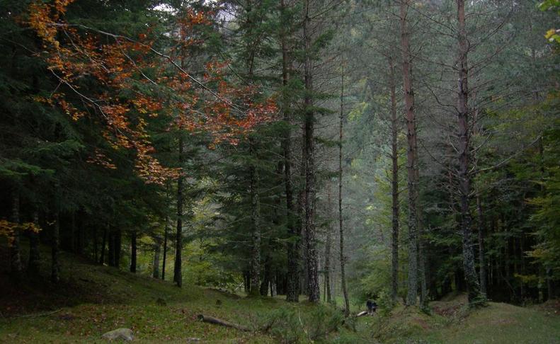 external image _selvaolza_d45cb688.jpg