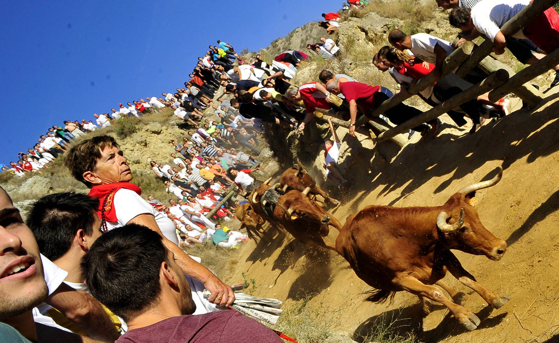 Quinto encierro del Pilón en Falces Diario de Navarra