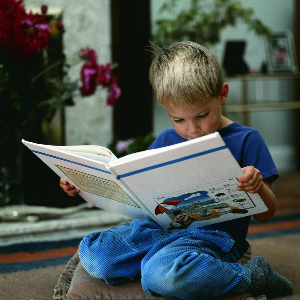 La lectura, fundamental para que los niños sigan desarrollandose  durante el verano.. DN