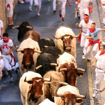 El encierro