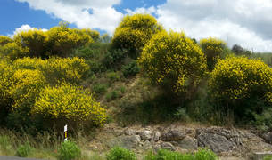 Fotos de la primavera de los lectores 2018