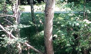 Fotodenuncias: Navarra sin Photoshop