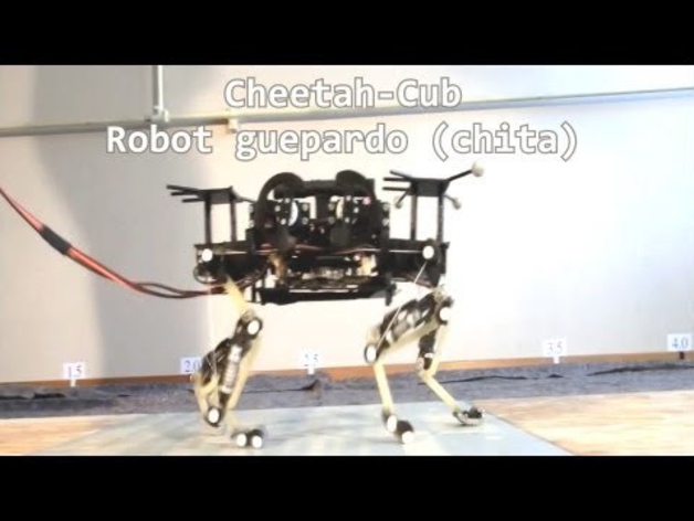 Diseñan un robot que corre como un gato