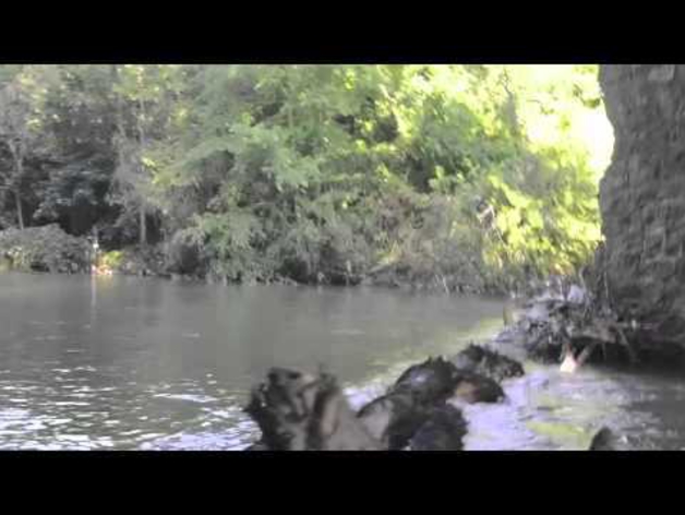 Inundaciones del Arga - Tramo 5: Puente de la Rochapea-San Jorge