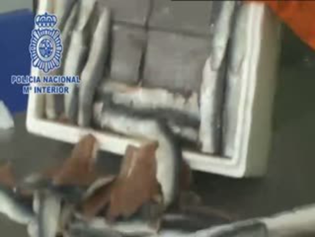 Catorce detenidos por introducir hachís oculto en sardinas congeladas
