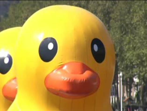 Los patos gigantes invaden la Ría de Bilbao