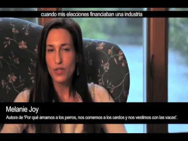 Tráiler del libro 'Por qué amamos a los perros, nos comemos a los cerdos y nos vestimos con las vacas'