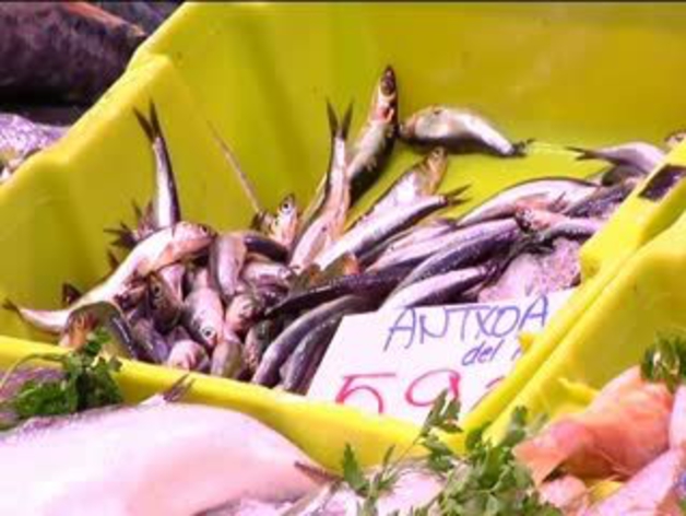 Alerta por la presencia de anisakis en las anchoas del Cantábrico