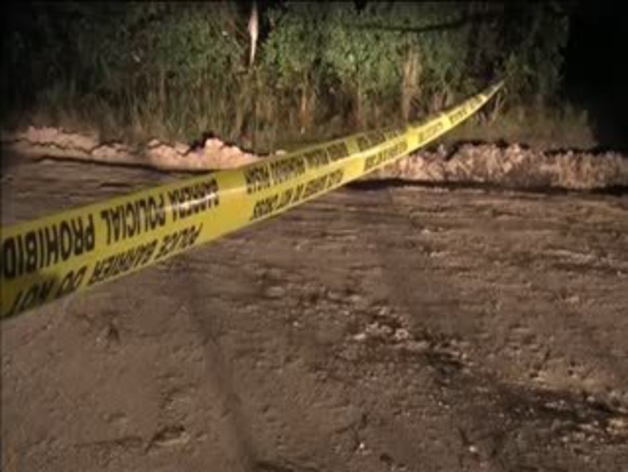 Trágico parricidio en Florida (Estados Unidos)