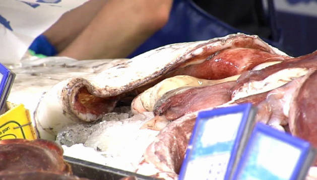 El misterioso calamar gigante
