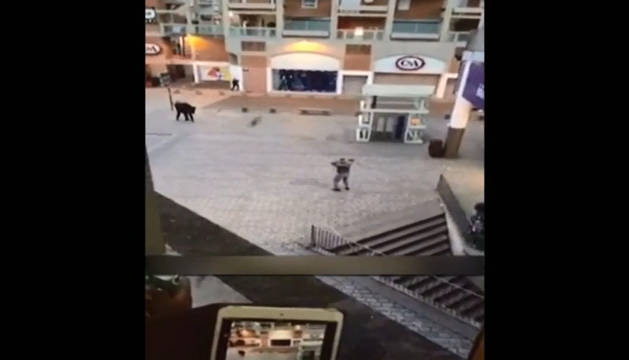 Redada antiterrorista en el suburbio parisino de Saint Denis