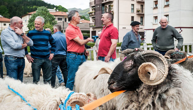 Vacas, carneros y artesanía en la Feria de Primavera de Santesteban