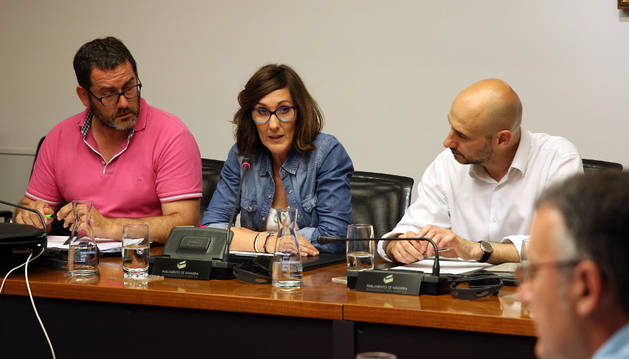 Desde la izda.: Carlos Beriáin Yoldi y Miren Edurne Moreno de Gracia, los padres de Marcos, con el presidente de la comisión, Iñaki Iriarte (UPN), ayer en el Parlamento.