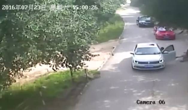 Ataque mortal de un tigre en un parque safari de China