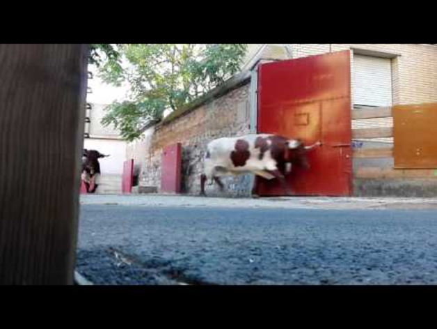 Salida en dos partes del segundo encierro de Tudela