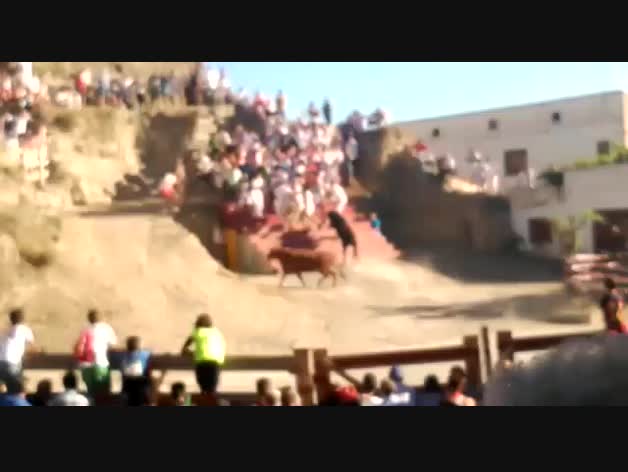 Cogida en el encierro de Arguedas