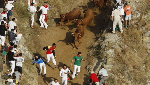 Un trasladado y dos vacas en la poza antes del tercer Pilón