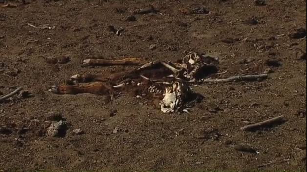 La Isla de los Toros, abandonada