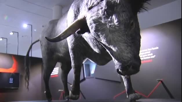 ¿Correr un encierro de San Fermín con toda la emoción de la carrera pero sin peligro?