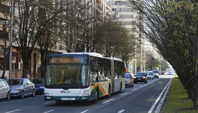 A la derecha los ejemplares de carpes que podrían verse afectados si los autobuses pasan a circular junto a la mediana de Pío XII.