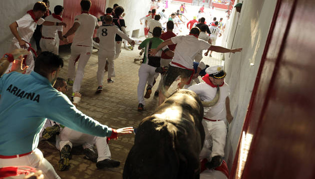 El toro Decana, de 585 kilos de peso, a punto está de cornear al corredor en la entrada de la plaza de toros.