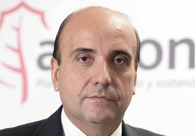 Rafael Mateo Alcalá, consejero delegado de Acciona Energía.