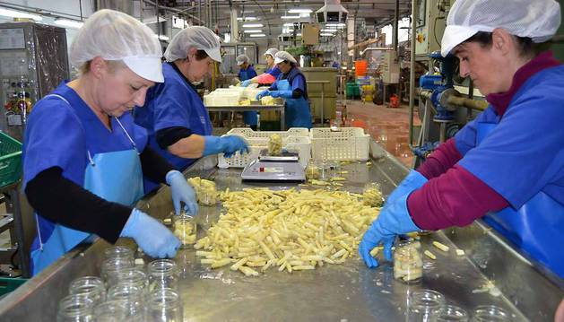 Trabajadoras embotando yemas en una de las línea de la fábrica de Conservas Pedro Luis de Lodosa.