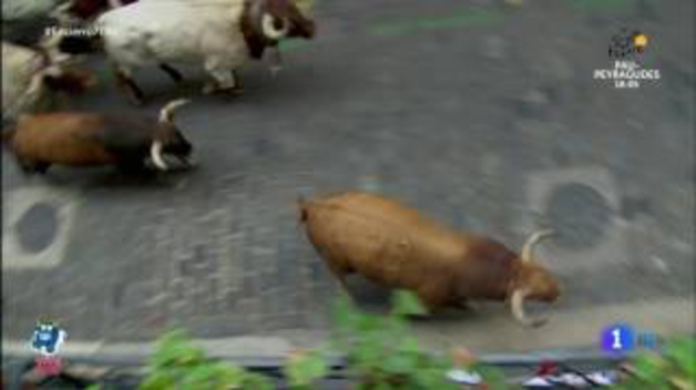 Cornada de Santo Domingo séptimo encierro San Fermín