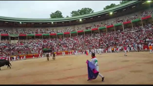 Pase de los toros de Núñez del Cuvillo por la plaza de toros