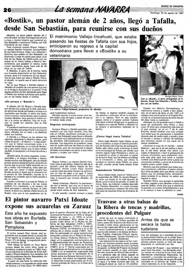 Página de Diario de Navarra con la noticia de Bostik en 1987.