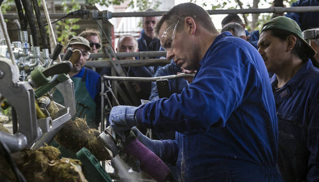 El podólogo bovino Jamie Sullivan lima ayer la pezuña de una vaca, ante la mirada de podólogos españoles, en Etxeberri.