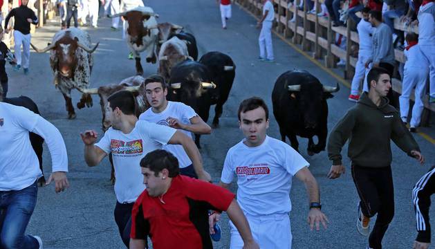 Quinto encierro de fiestas de Sangüesa