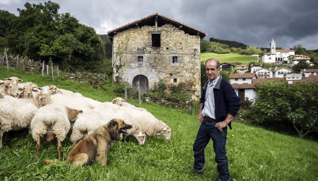 Foto de 'Jai', un perro pastor vasco de 6 años, fija su mirada sobre su amo y guía de sus pasos con el rebaño, Antonio Alustiza Arzadun.