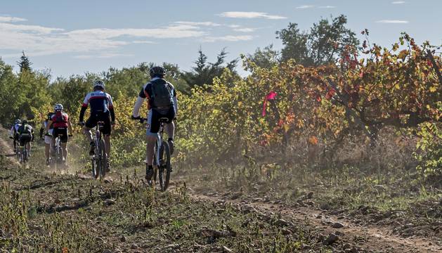 Los participantes en la segunda edición de la Tierra Estella Epic transitan por un camino entre viñedos.