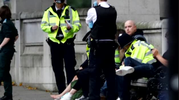 Varios heridos en un atropello junto al Museo de Historia Natural de Londres