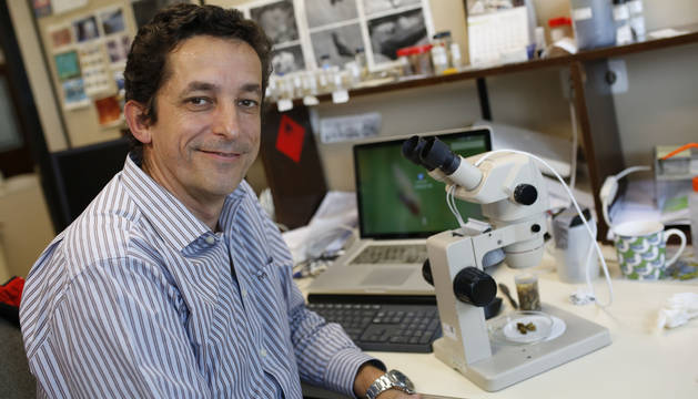 Rafael Miranda, en la Universidad de Navarra. En el microscopio hay una muestra de mejillón cebra, una especie invasora.