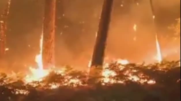 El infierno al que se enfrentan los bomberos en Galicia