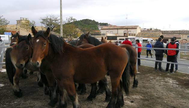 Feria de ganado caballar de Tafalla 2017