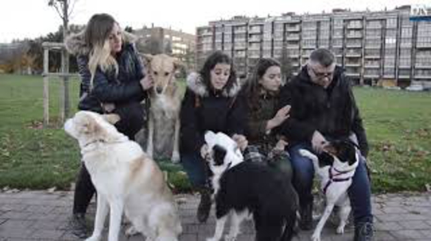 Vídeo: Mi mascota y yo: Duna, Daddy, Ura e Hiru