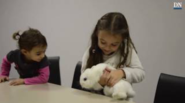 Mi mascota y yo | Nahia y Sayoa nos presentan a su coneja Budy