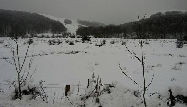 Fotos de la nevada enviadas por lectores