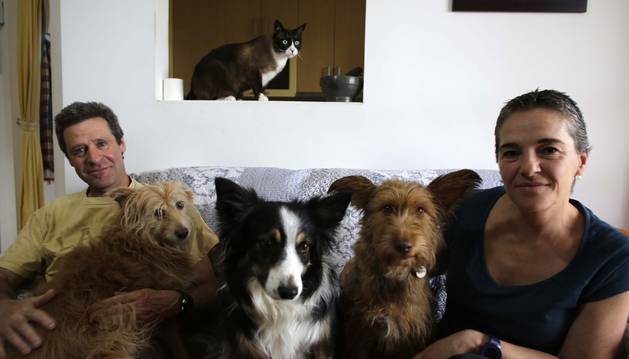 Antón Iraizoz Apezteguía y Ester Lutteroth Elizondo con Noa, Tukla y Kuka en el sofá de su casa de Ansoáin. Arriba, Katu.